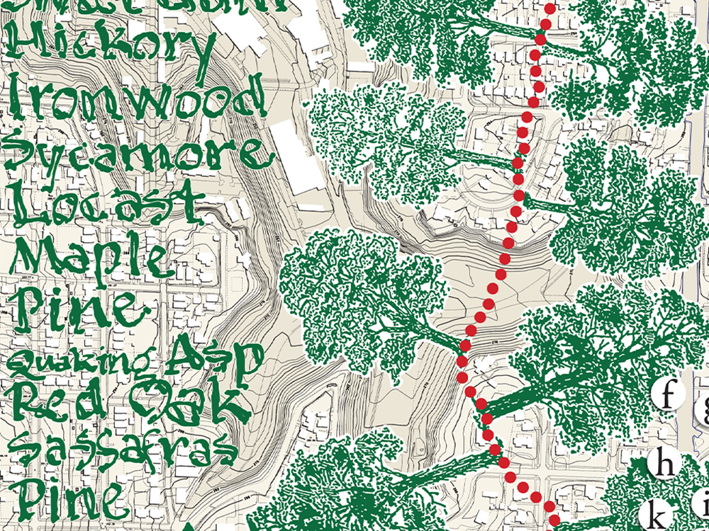 Arboreal Abecedary (2003)